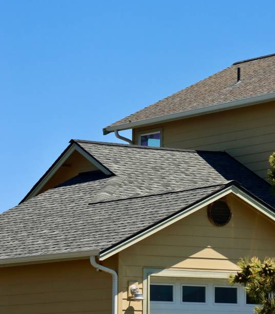 Best Asphalt Shingle Roofing  in Marine City, MI